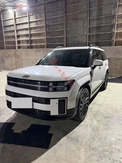 Xe Hyundai SantaFe Calligraphy 2.5L HTRAC 6S 2024