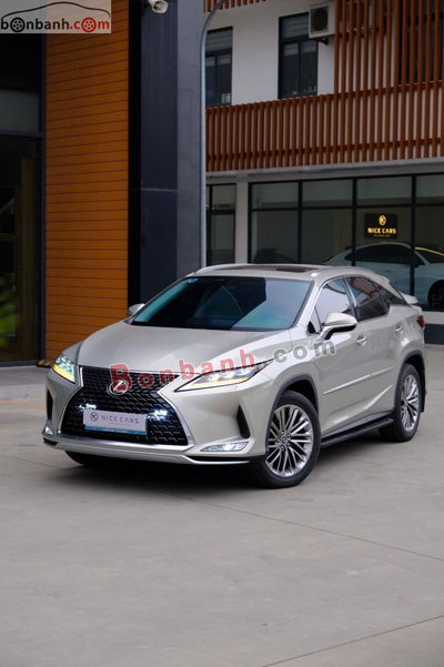 Xe Lexus RX 300 2021