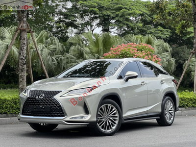Xe Lexus RX 300 2021