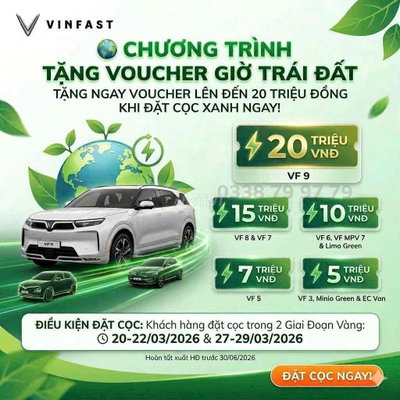 VinFast VF3 2025