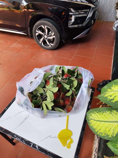 Mitsubishi Xpander 2023 Đen 8300 km