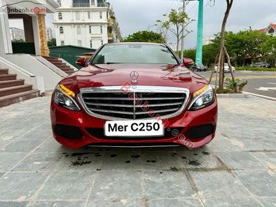 Xe Mercedes Benz C class C250 Exclusive 2016
