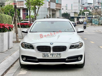 Xe BMW 5 Series 520i 2015