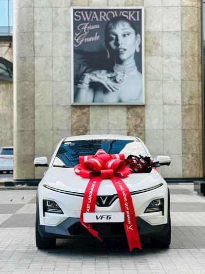 VF6 72TR NHẬN XE TƯ VẤN A->Z, CẢ NỢ XẤU Ạ