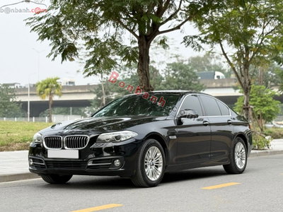Xe BMW 5 Series 520i 2014
