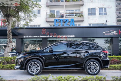 Xe Lexus RX 300 2020
