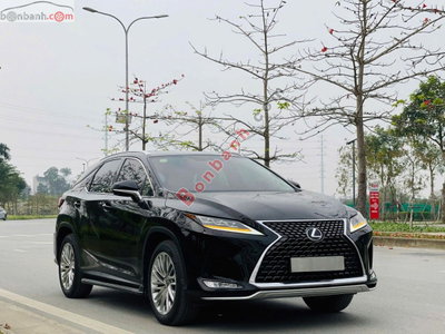 Xe Lexus RX 300 2021