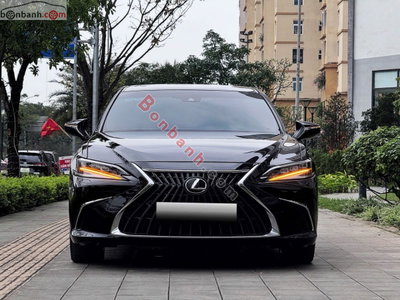 Xe Lexus ES 250 2023