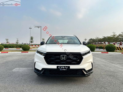 Xe Honda CRV e:HEV L 2026