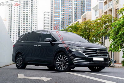 Xe Volkswagen Viloran Luxury 2024