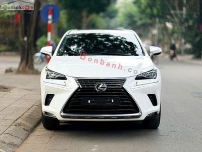 Xe Lexus NX 300 2018