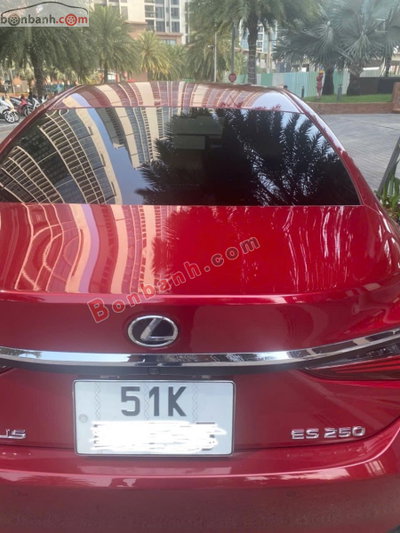 Xe Lexus ES 250 2023