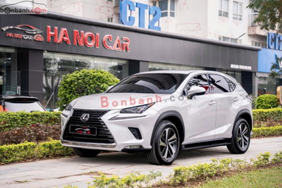 Xe Lexus NX 300 2018