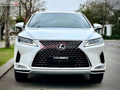 Xe Lexus RX 300 2021