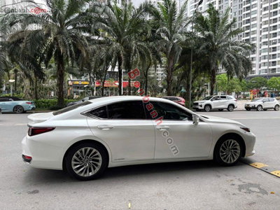 Xe Lexus ES 300h 2021