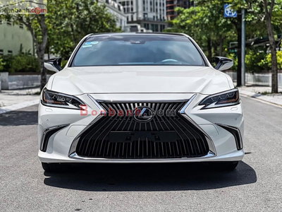 Xe Lexus ES 250 2020