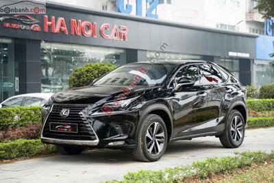 Xe Lexus NX 300 2019