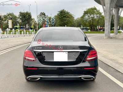 Xe Mercedes Benz E class E250 2016