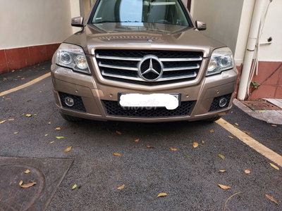 Mercedes-Benz GLK300 2010 Cát cháy