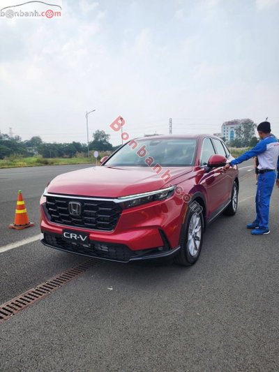 Xe Honda CRV L 2026