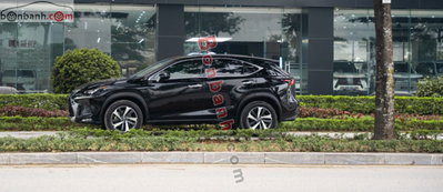 Xe Lexus NX 300 2019