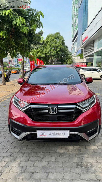 Xe Honda CRV L 2022