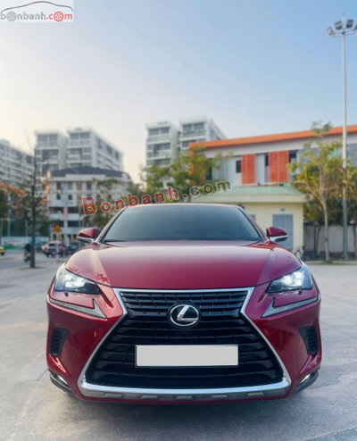 Xe Lexus NX 300 2019