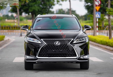 Xe Lexus RX 300 2019