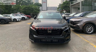 Xe Honda CRV G 2026