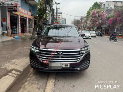 Xe Volkswagen Viloran Luxury 2024