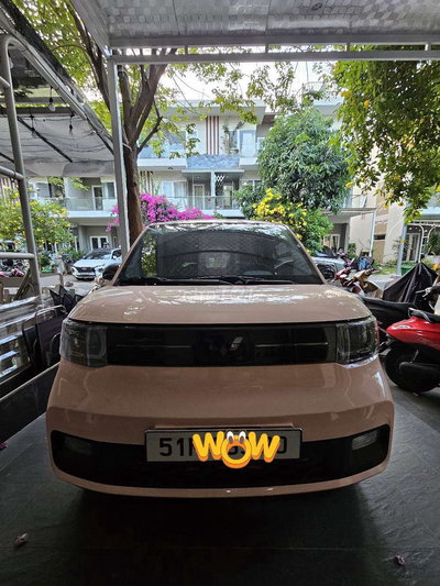 Xe điện Wuling Mini EV LV2 Hồng 4961 km