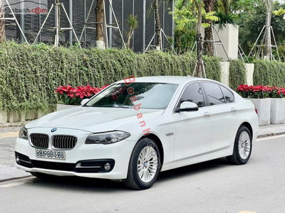 Xe BMW 5 Series 520i 2015