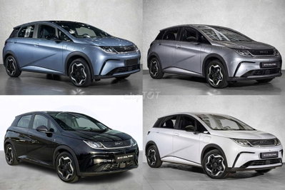 BYD Dolphin 2026 Mới - Xe Điện Đi Phố 435km/Sạc