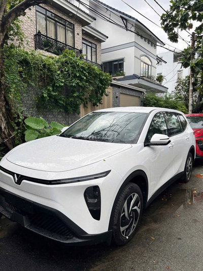 Chỉ cần đưa trước 100 triệu có ngay xe Limo 7 chỗ