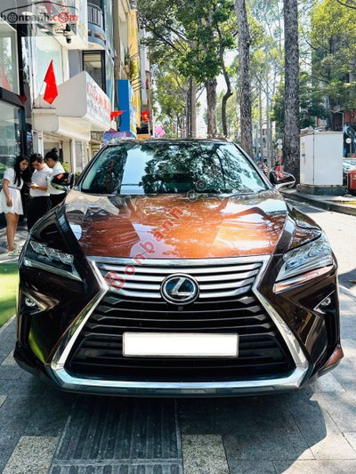 Xe Lexus RX 300 2019