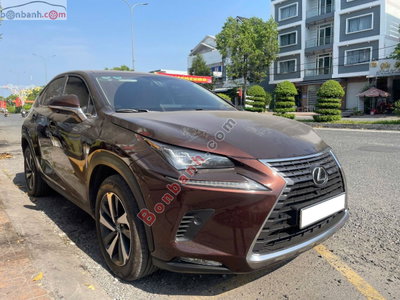 Xe Lexus NX 300 2019
