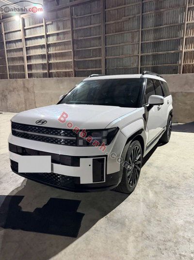 Xe Hyundai SantaFe Calligraphy 2.5L HTRAC 6S 2024