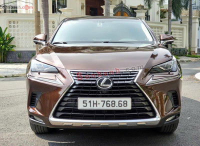 Xe Lexus NX 300 2019