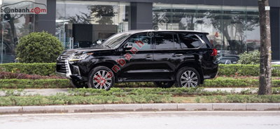 Xe Lexus LX 570 2019