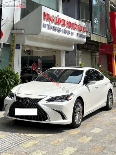 Xe Lexus ES 300h 2022
