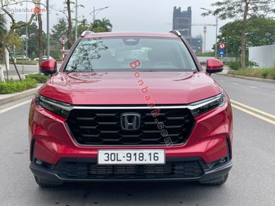 Xe Honda CRV L 2024