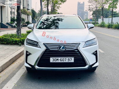Xe Lexus RX 300 2019