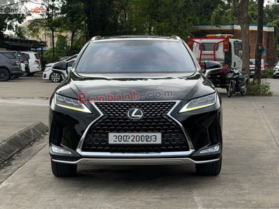 Xe Lexus RX 300 2019