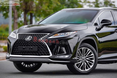 Xe Lexus RX 300 2019