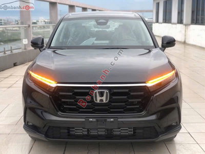 Xe Honda CRV L 2025