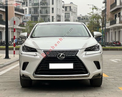 Xe Lexus NX 300 2018