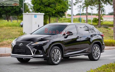 Xe Lexus RX 300 2019