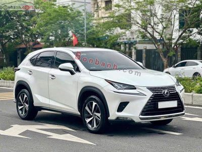 Xe Lexus NX 300 2017