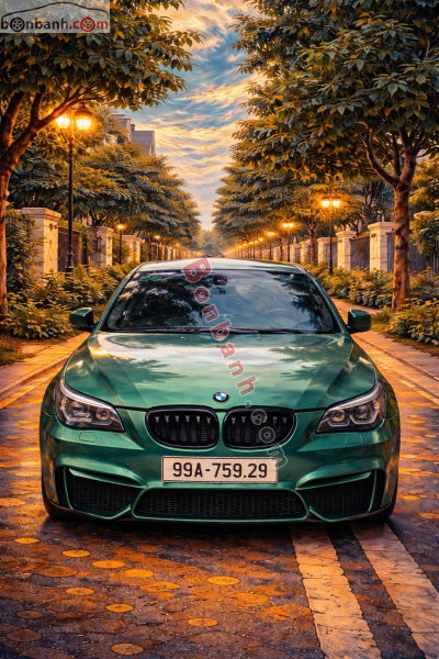 Xe BMW 5 Series 525i 2005