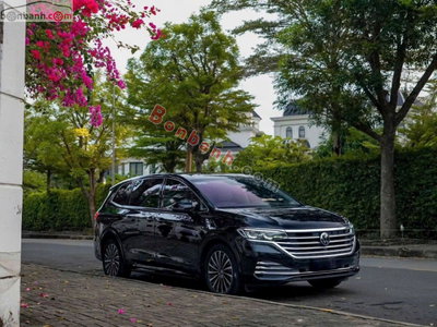Xe Volkswagen Viloran Luxury 2025